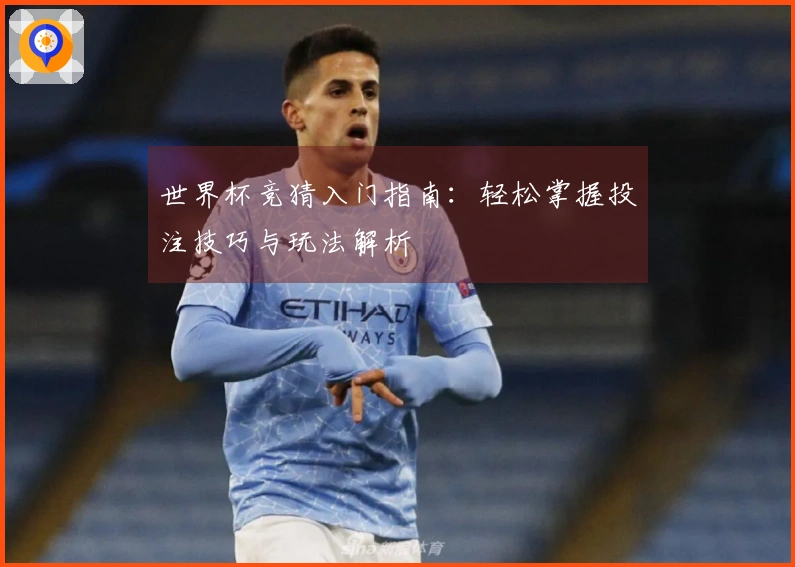 世界杯竞猜入门指南：轻松掌握投注技巧与玩法解析