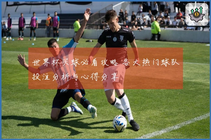 世界杯买球必看攻略 各大热门球队投注分析与心得分享