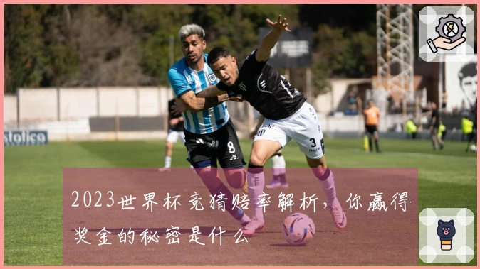 2023世界杯竞猜赔率解析，你赢得奖金的秘密是什么