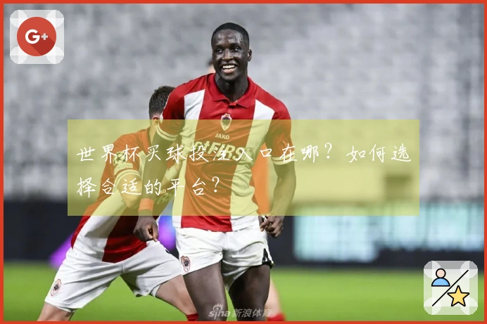 世界杯买球投注入口在哪？如何选择合适的平台？