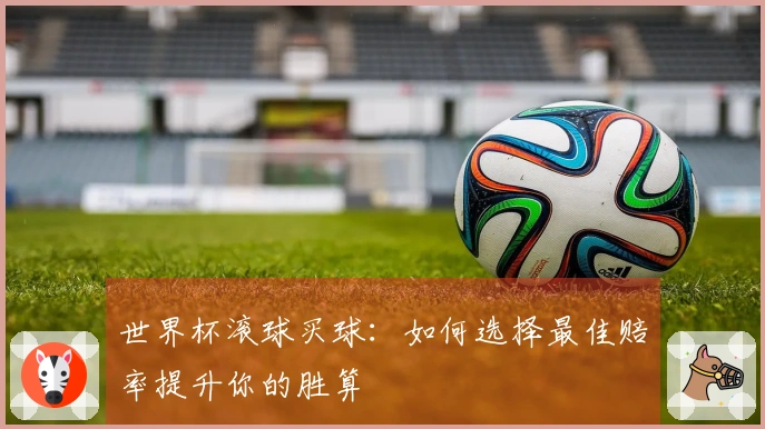 世界杯滚球买球：如何选择最佳赔率提升你的胜算
