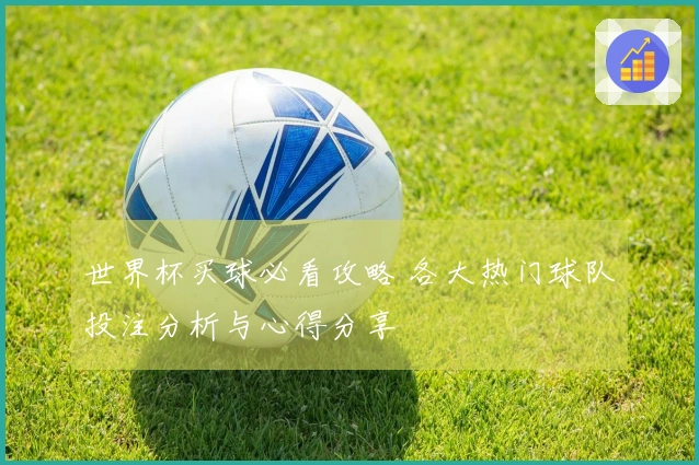 世界杯买球必看攻略 各大热门球队投注分析与心得分享