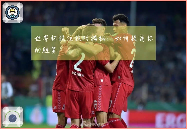 世界杯投注技巧揭秘，如何提高你的胜算