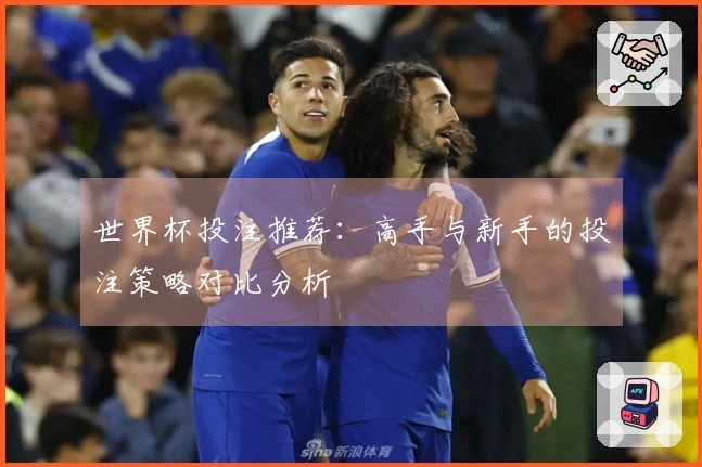 世界杯投注推荐：高手与新手的投注策略对比分析