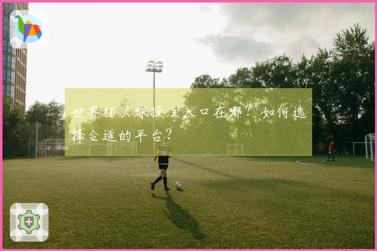 世界杯买球投注入口在哪？如何选择合适的平台？