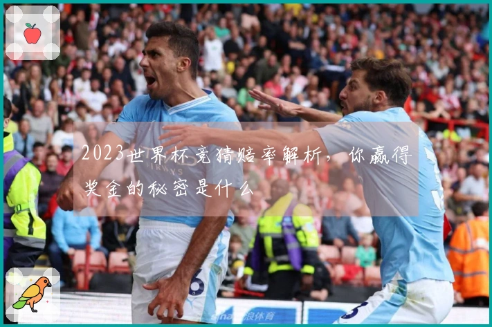 2023世界杯竞猜赔率解析，你赢得奖金的秘密是什么