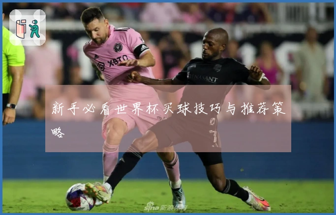 新手必看世界杯买球技巧与推荐策略