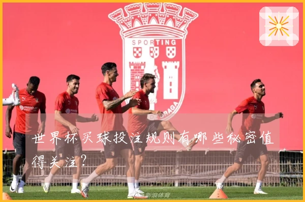 世界杯买球投注规则有哪些秘密值得关注？