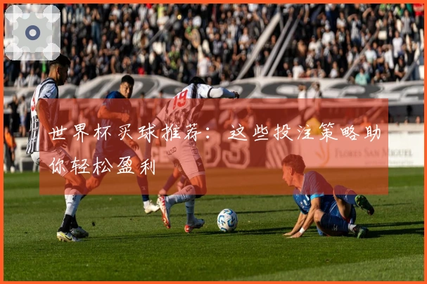 世界杯买球推荐：这些投注策略助你轻松盈利