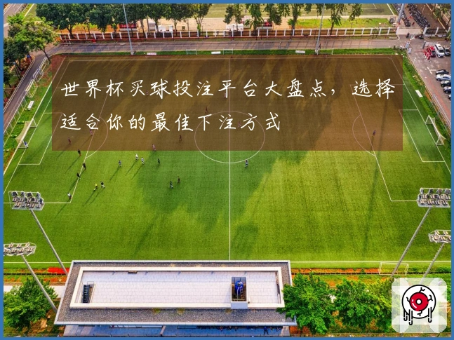 世界杯买球投注平台大盘点，选择适合你的最佳下注方式
