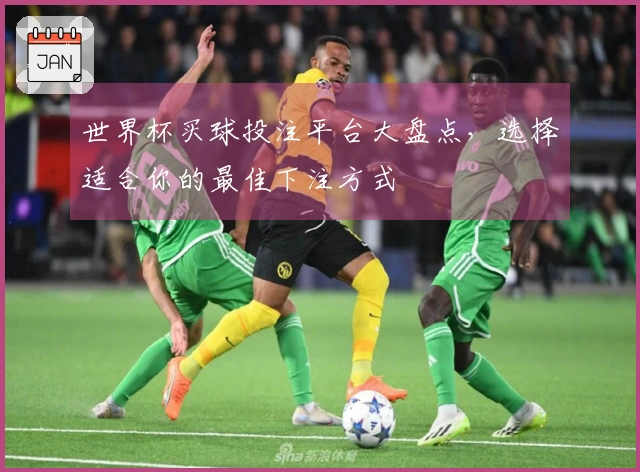 世界杯买球投注平台大盘点，选择适合你的最佳下注方式