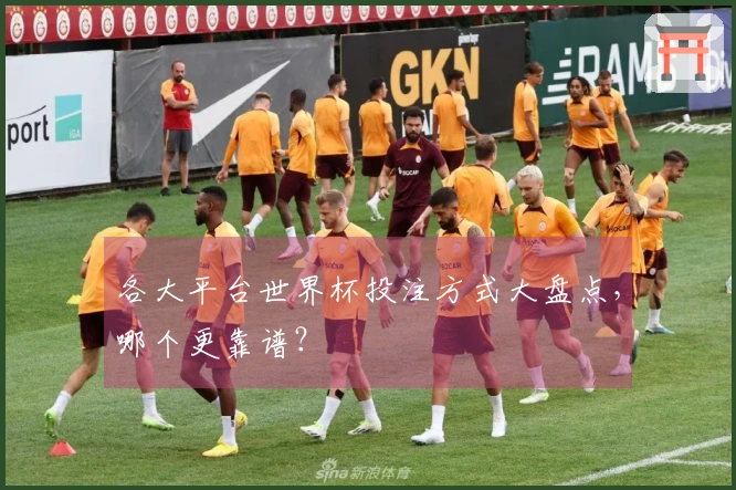 各大平台世界杯投注方式大盘点，哪个更靠谱？