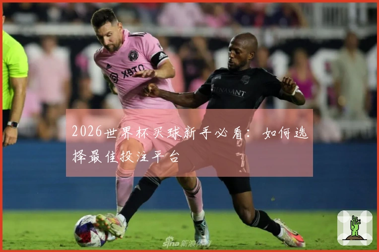 2026世界杯买球新手必看：如何选择最佳投注平台