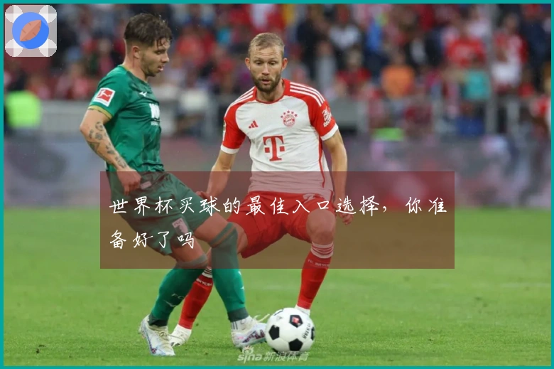 世界杯买球的最佳入口选择，你准备好了吗
