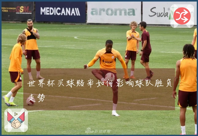 世界杯买球赔率如何影响球队胜负走势